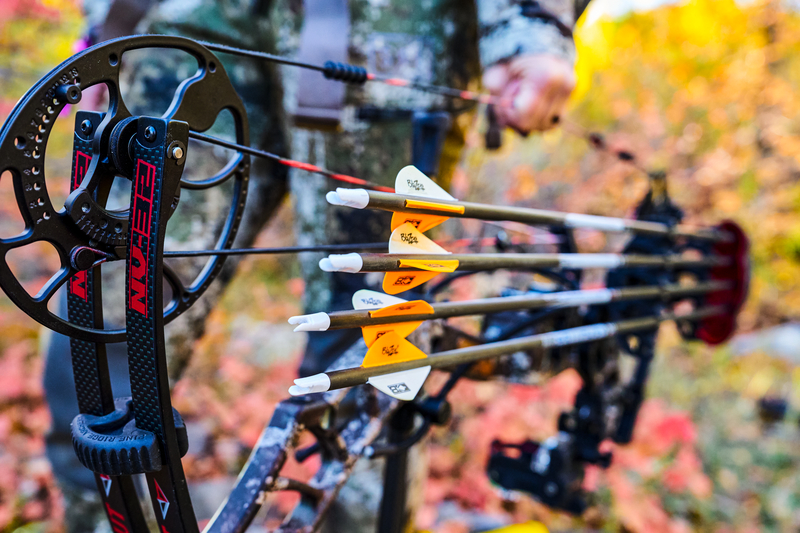 Guide to Compound Bows Bass Pro Shops